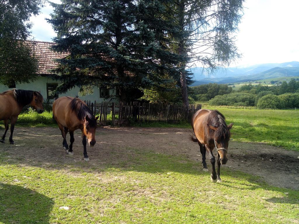 Farma Kozi Dvor Rohozna Apartment Brezno Bagian luar foto